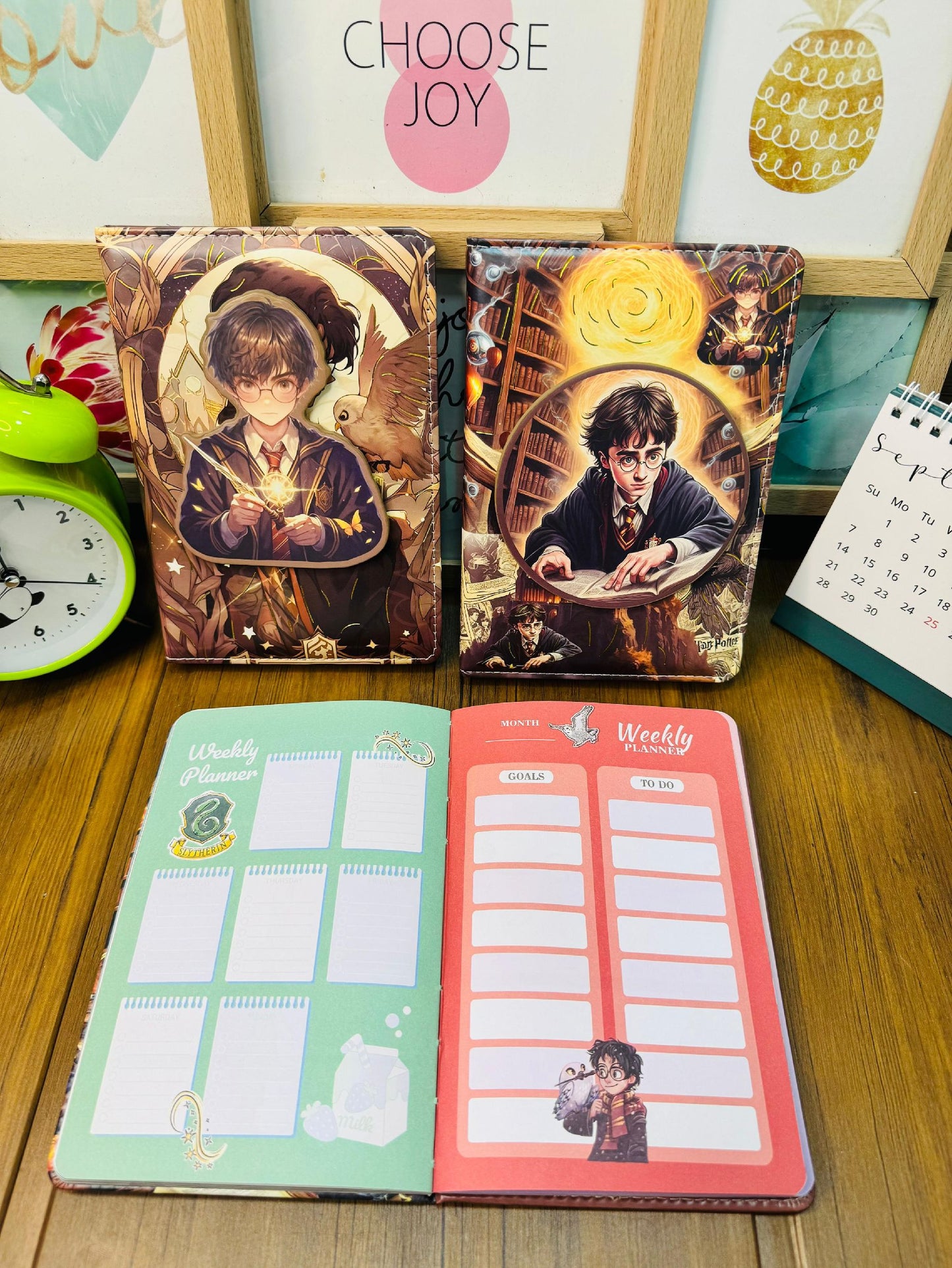 Harry Porter Spinner Diary