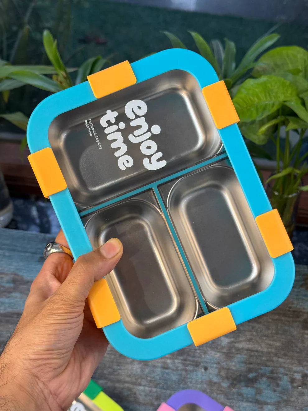 Daily Delight 3-Compartment Lunch Box